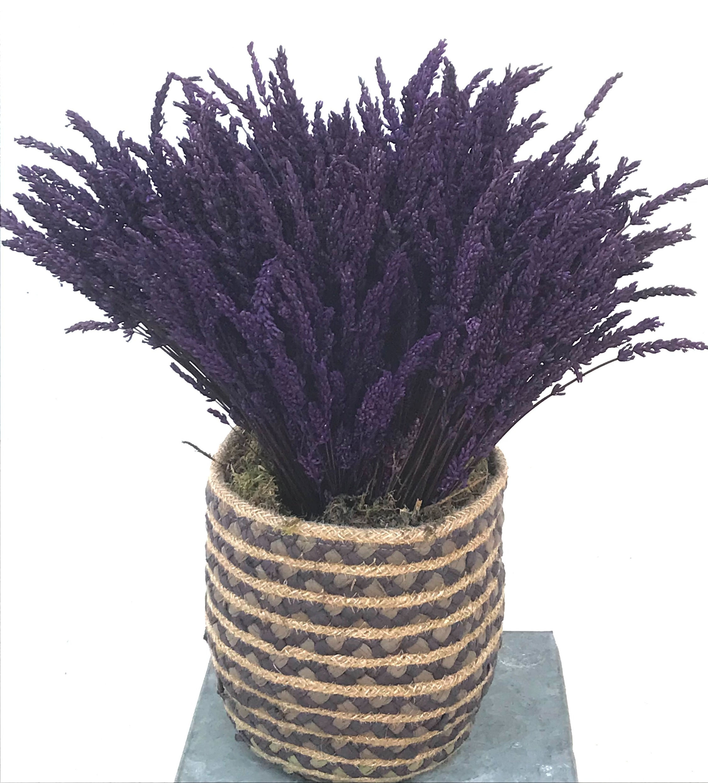 Bouquet Aix en Provence