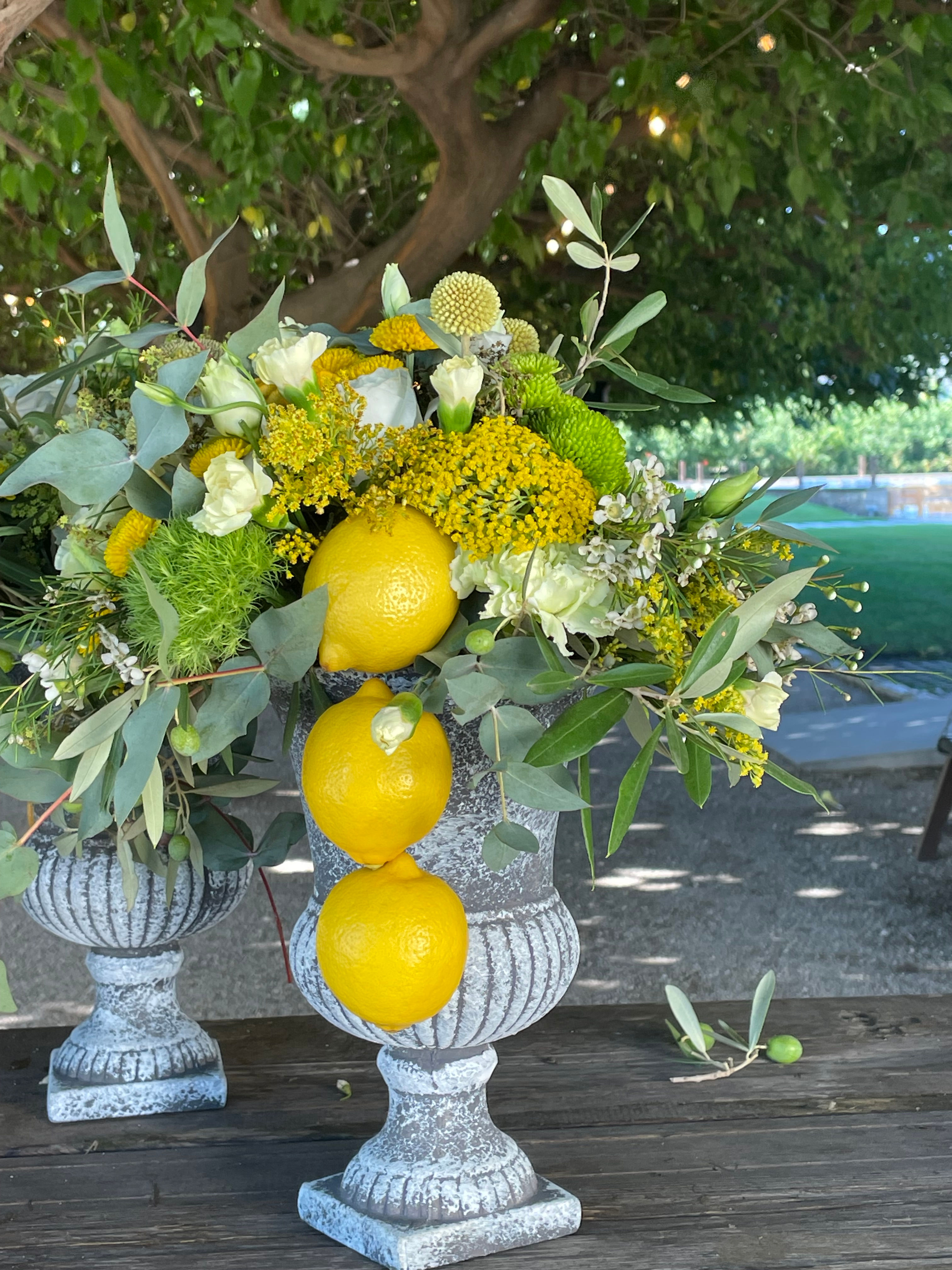 Medici Vase with Lemons