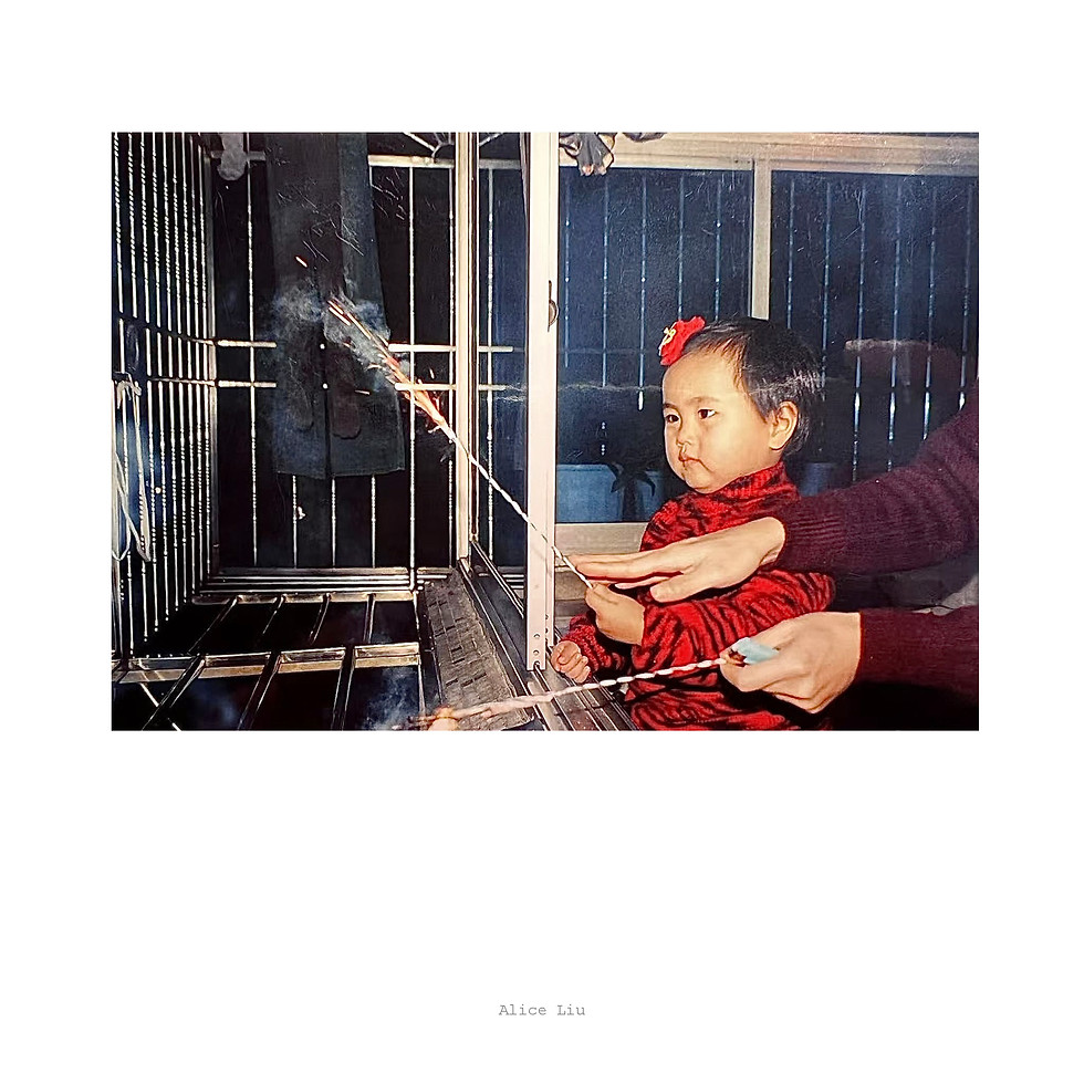 suzie liu book JUST PHOTOS_Page_13.jpg