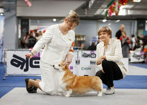 07.03.2026 Моя любимая огненная королева🔥👸Леди👸🔥дебютировала в классе ветеранов.✨️