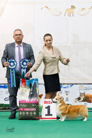 🔥👸Леди👸🔥🏆BIS VETERAN-1🏆