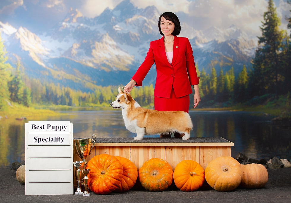 lPT_5eh-QZd3Xplr1wg0YFM636BHIPhjo7FbdxQXS8cMCJB-Q3usy558Zdb4LHSh2T4kQAzFGC6MrWr3gCWuwRk2.j