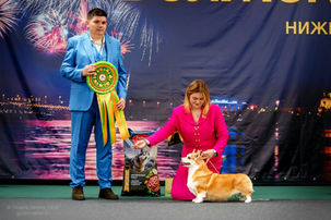 04.04.26-05.04.26 Красотка ❣️Леди❣️ посетила 2 рейтинговые выставки в Нижнем Новгороде «Волжская Фиеста»