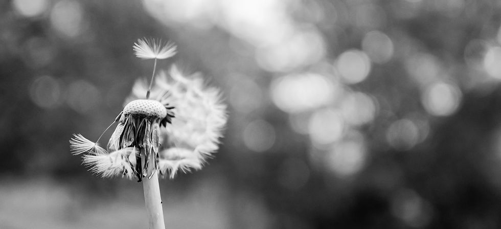 Photo by Ýlona María Rybka on Unsplash