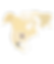WEBSITE ASSETS WORKING FILE-14.png