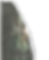 COLLAGE-05.png