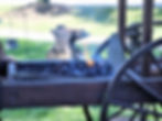 Anvel and forgeing cart.jpg