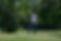 Golfer