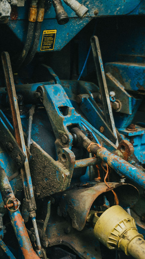 pexels-olliecraig1-8793229.jpg