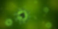 corona virus as viewed under an electron microscope