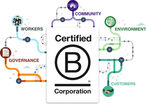 What was our process to become a B Corp? (and why did we do it)