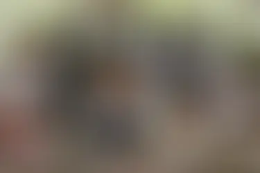 Organizations Promoting Gender Equality in UNSDG 4: Quality Education