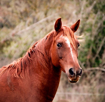 IMG-20251029-WA0040_edited_edited.jpg