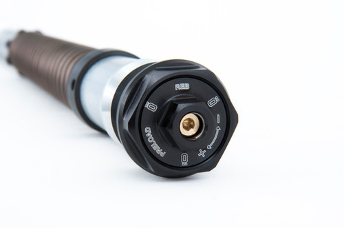 Ohlins NIX 22 FKS 224 Cartridge Kit for Kawasaki ZX400 | Triple T