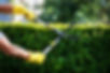 Castro Rivera Lawn Maintenance in Long Island NY
