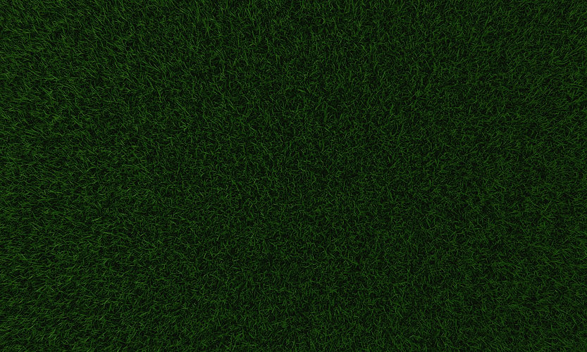 Grass Texture_edited.jpg