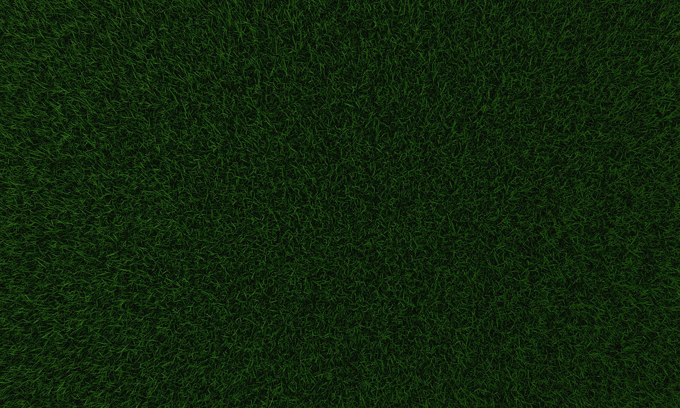 Grass Texture_edited.jpg