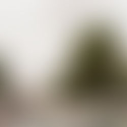 yuko's diary 1/31/25