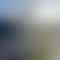 yuko's diary 1/28/21