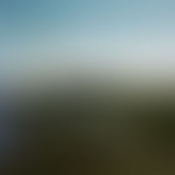 yuko's diary 12/11/25