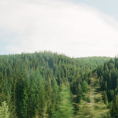 yuko's diary 9/16/25