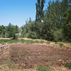 yuko's diary 6/24/24