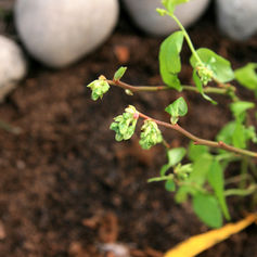 yuko's diary 3/28/22