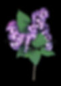 49 Lilac