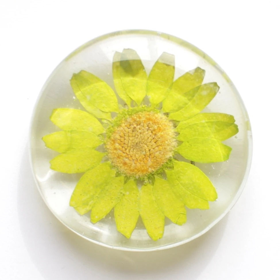 Thumbnail: Real Flower Magnet