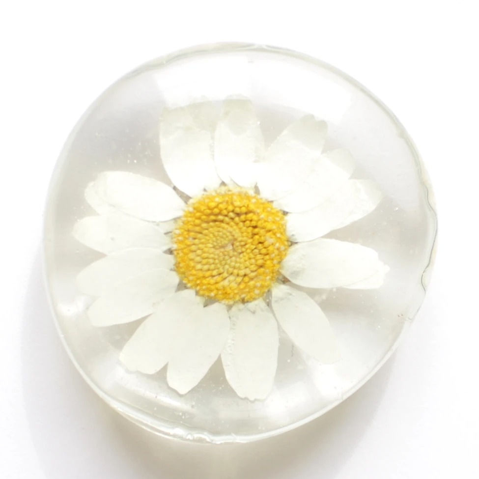 Thumbnail: Real Flower Magnet