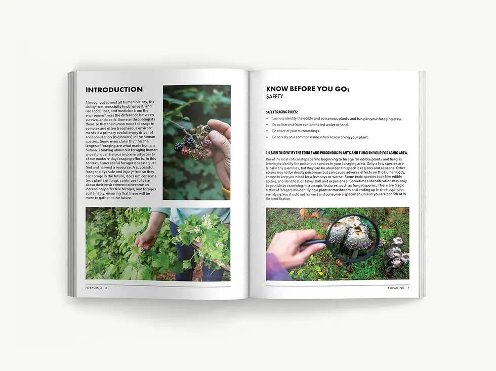 Thumbnail: Foraging: An Illustrated Guide to Edible Wild Plants