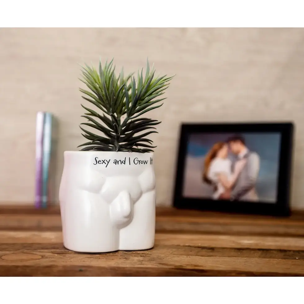 Thumbnail: Indoor Planter | Sexy And I Grow It