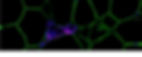 Gamze-ATVB-practice_4-14-20_fix_cover-image_edited.jpg