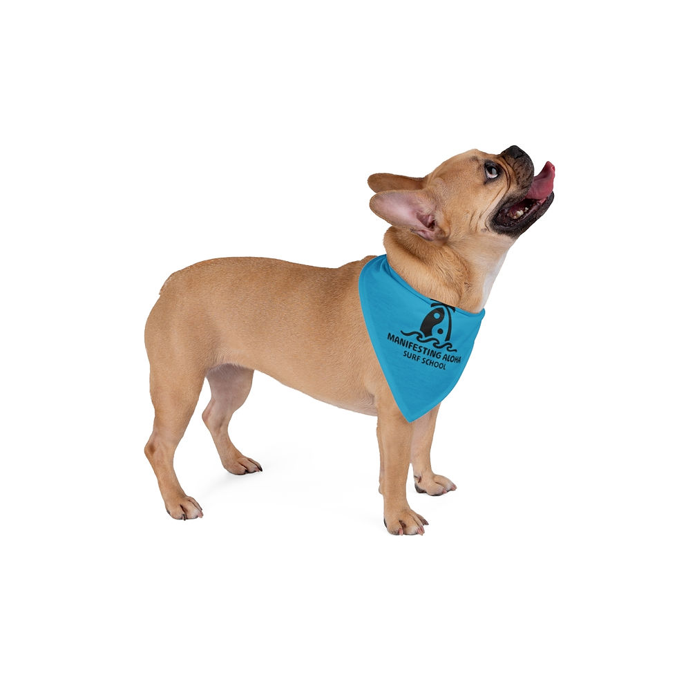 Manifesting Aloha Surf School Pet Bandana 