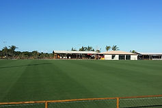 WhatsApp Image 2026-02-10 at 16.31.17.jpeg