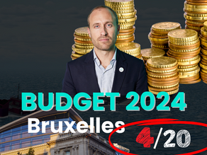 Budget bruxellois 2024 : le navire bruxellois coule et le gouvernement baisse pavillon