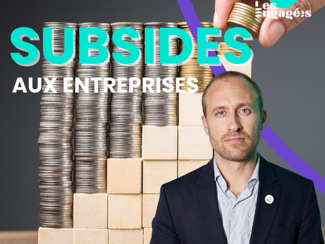 Remplacer les subsides par de l'investissement et du prêt