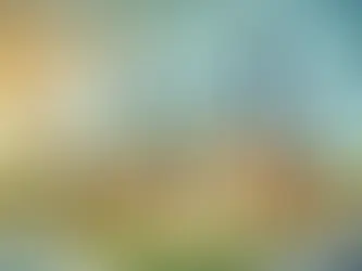 Navigating 2024 Market Trends in Single-Tenant Net Lease (STNL) and Childcare Real Estate