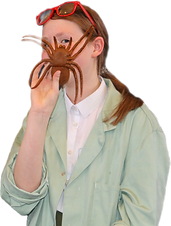 CE170D10-7008-42D2-B13B-196D7EE8CD88.png