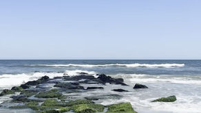 Beach Days and Wellness Vibes