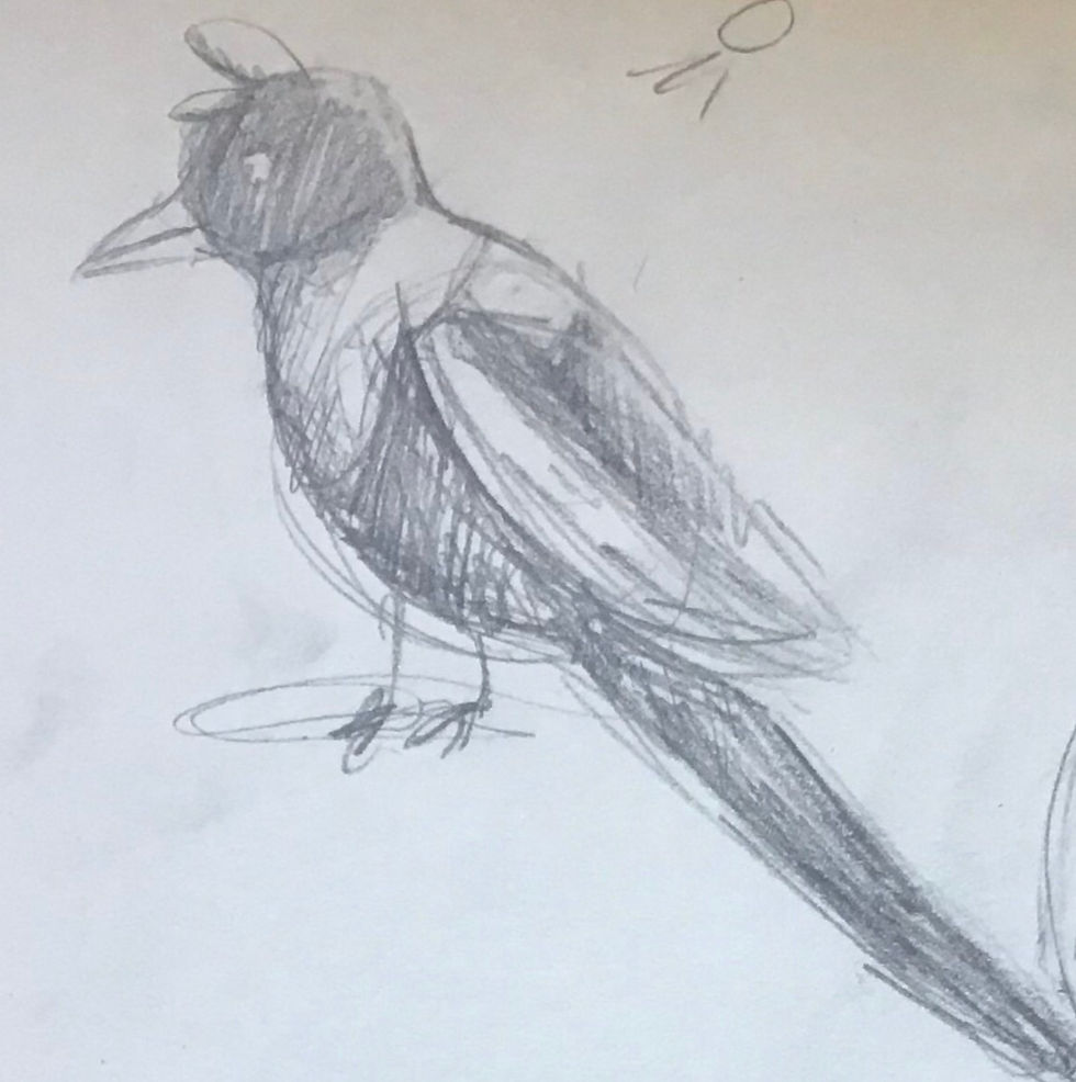 Thumbnail: 𝙰𝚍𝚎𝚕𝚒𝚗𝚎 - magpie