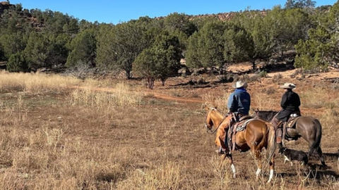 The Truth About MCOOL