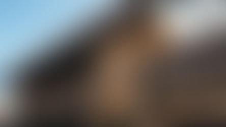 Whistleblowers Reveal Plot Against Trump