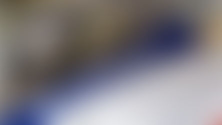 Stopping the Medicaid Money Pit: Bringing an End to Fraud, Waste, and Zero Accountability