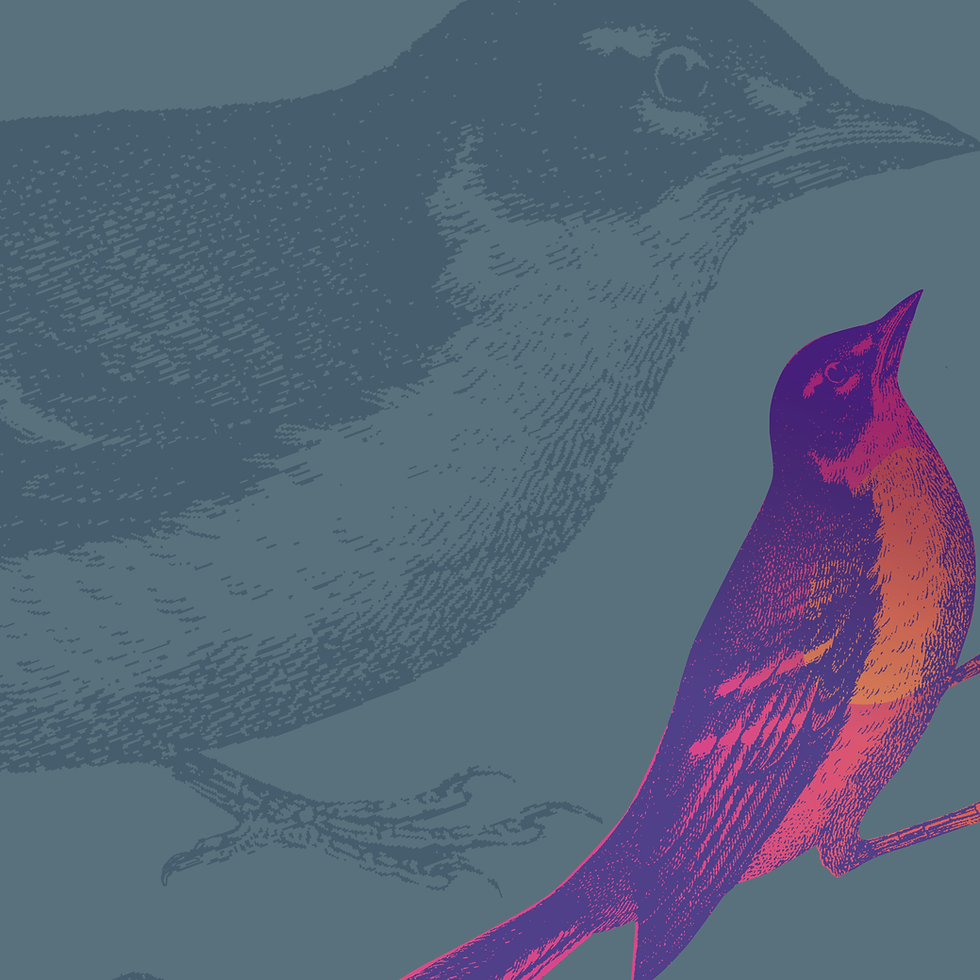 2_Carre podcast 3000x3000 pixel25.png