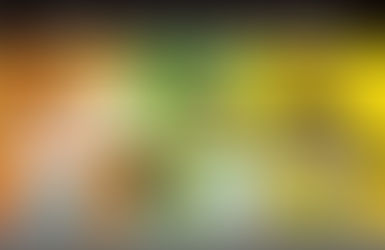 Talking About Bullying