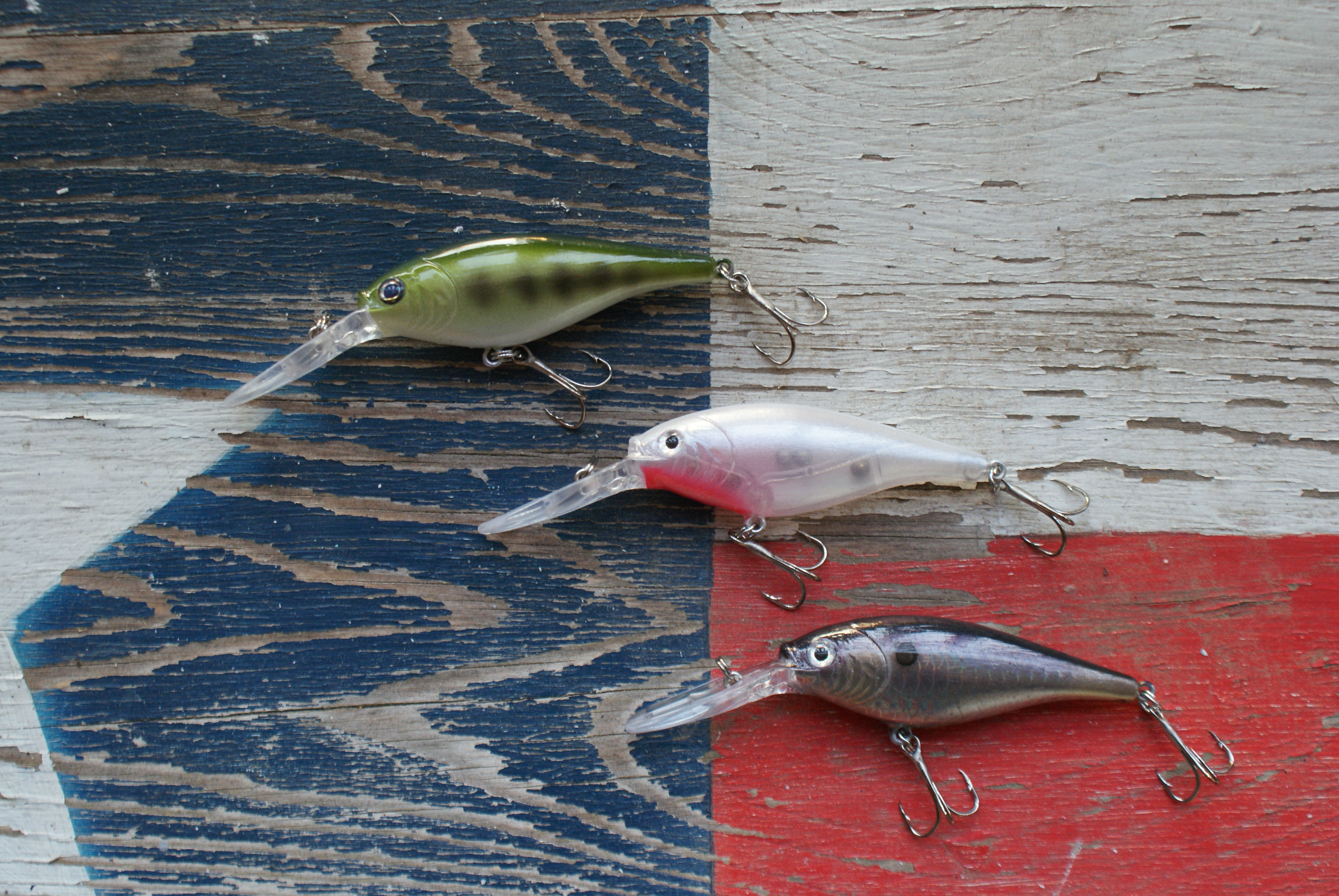CT Shad