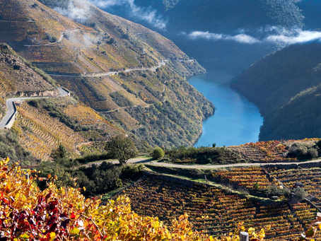 Un destino en auxe que se mantén cos pés no chan
