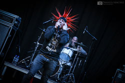 IMG_8214-1-1
