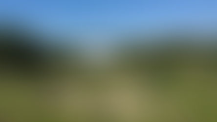 Ein Van parkend am Meer
